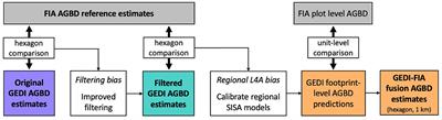 Precise and unbiased biomass estimation from GEDI data and the US Forest Inventory